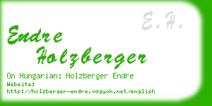 endre holzberger business card